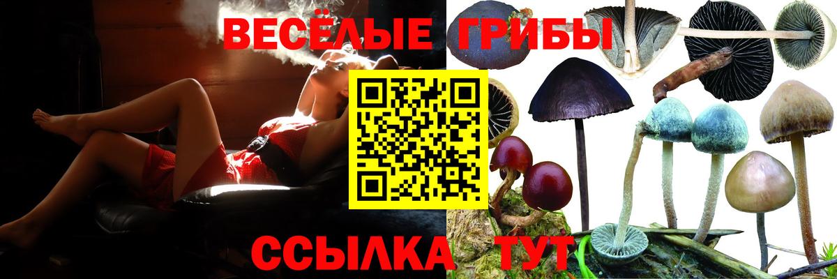 Зима  Псилоцибиновые грибы Cubensis  Вход с VPN  Псилоцибиновые грибы мухоморы 