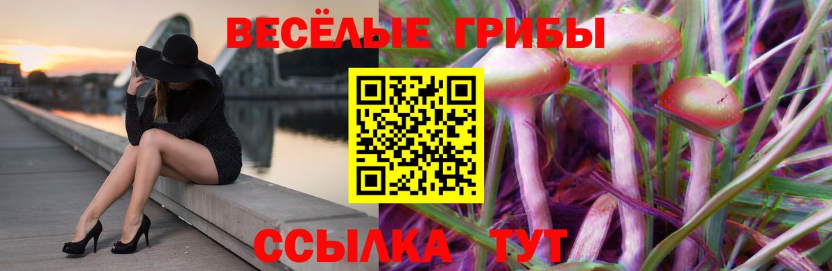 Галлюциногенные грибы GOLDEN TEACHER Зима