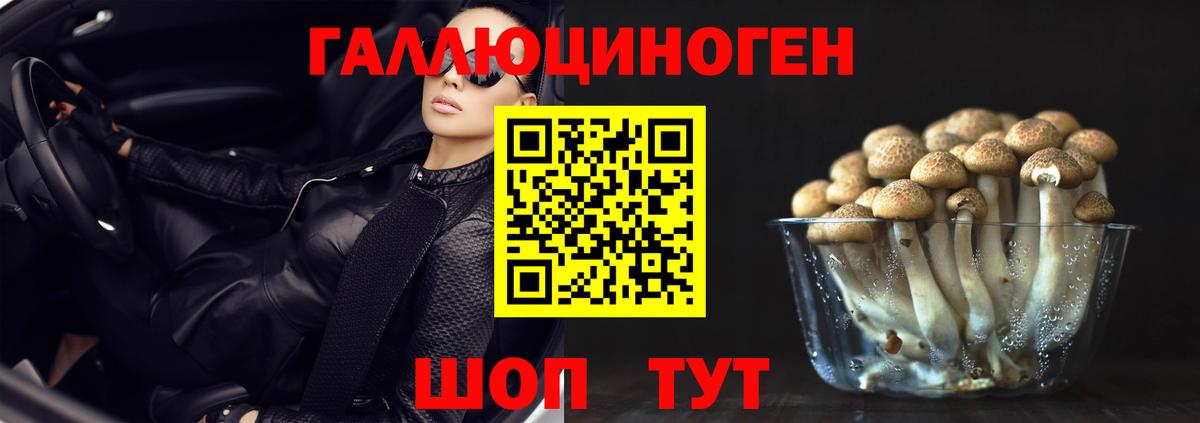 APVP Зима
