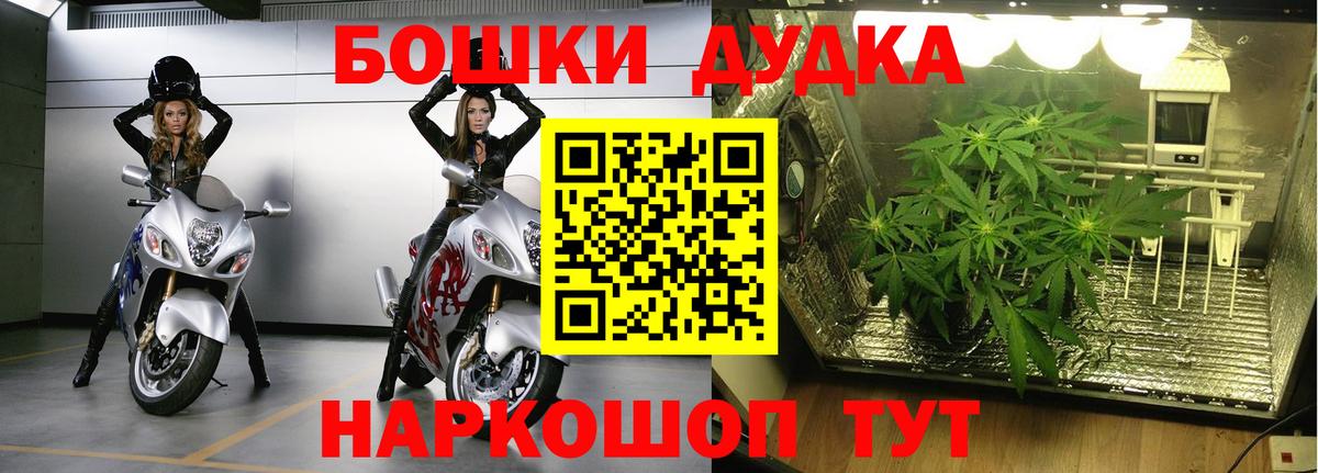 Канабис MAZAR Зима